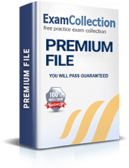 Professional Cloud DevOps Engineer Premium File
